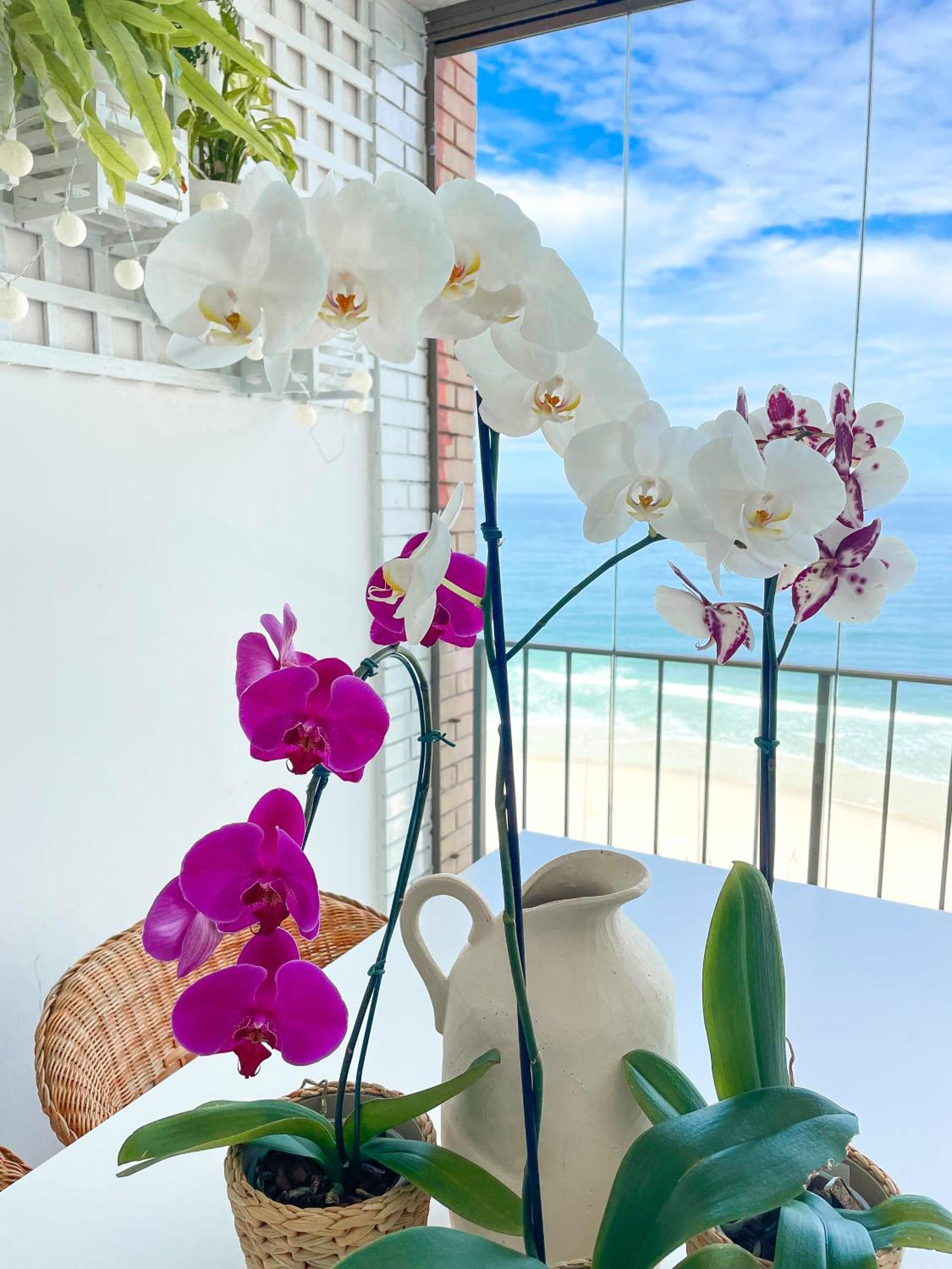 Your Place In Rio Apartment